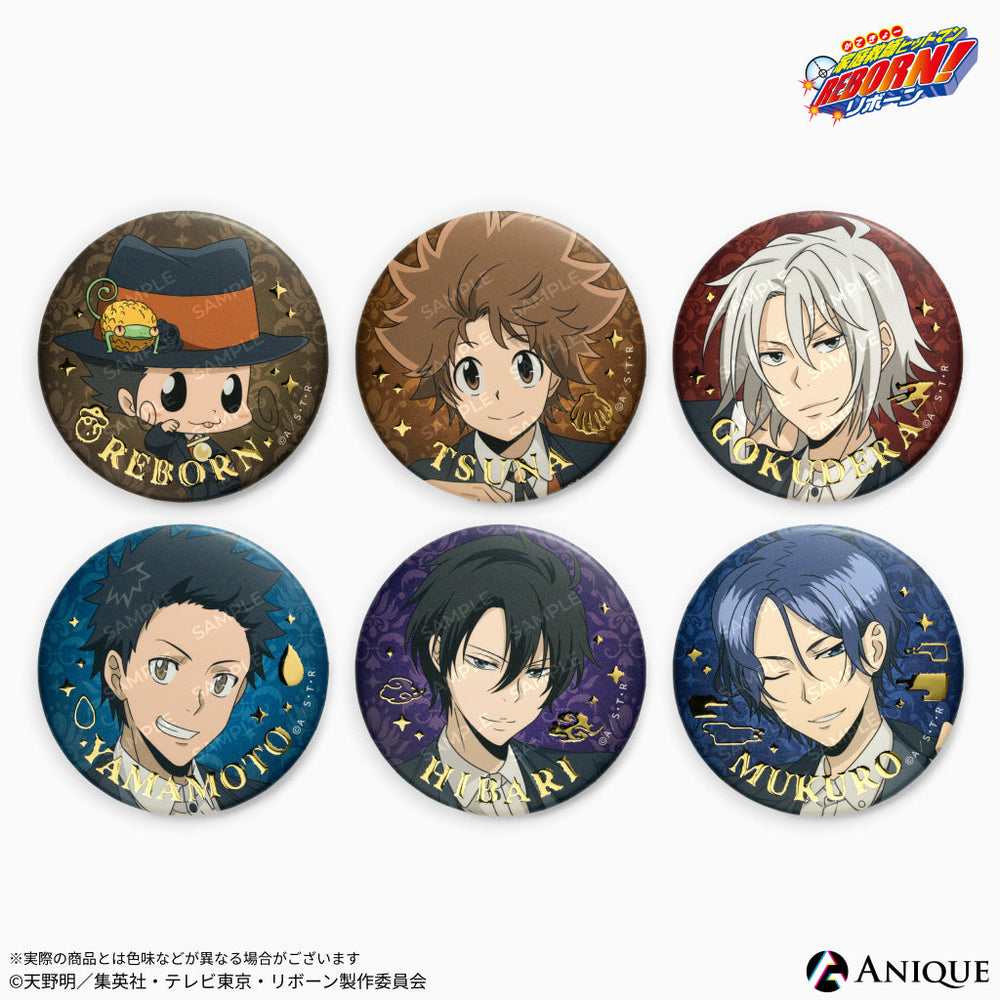 大幅値下げ天野明展 家庭教師ヒットマンREBORN! 缶バッジコンプセット