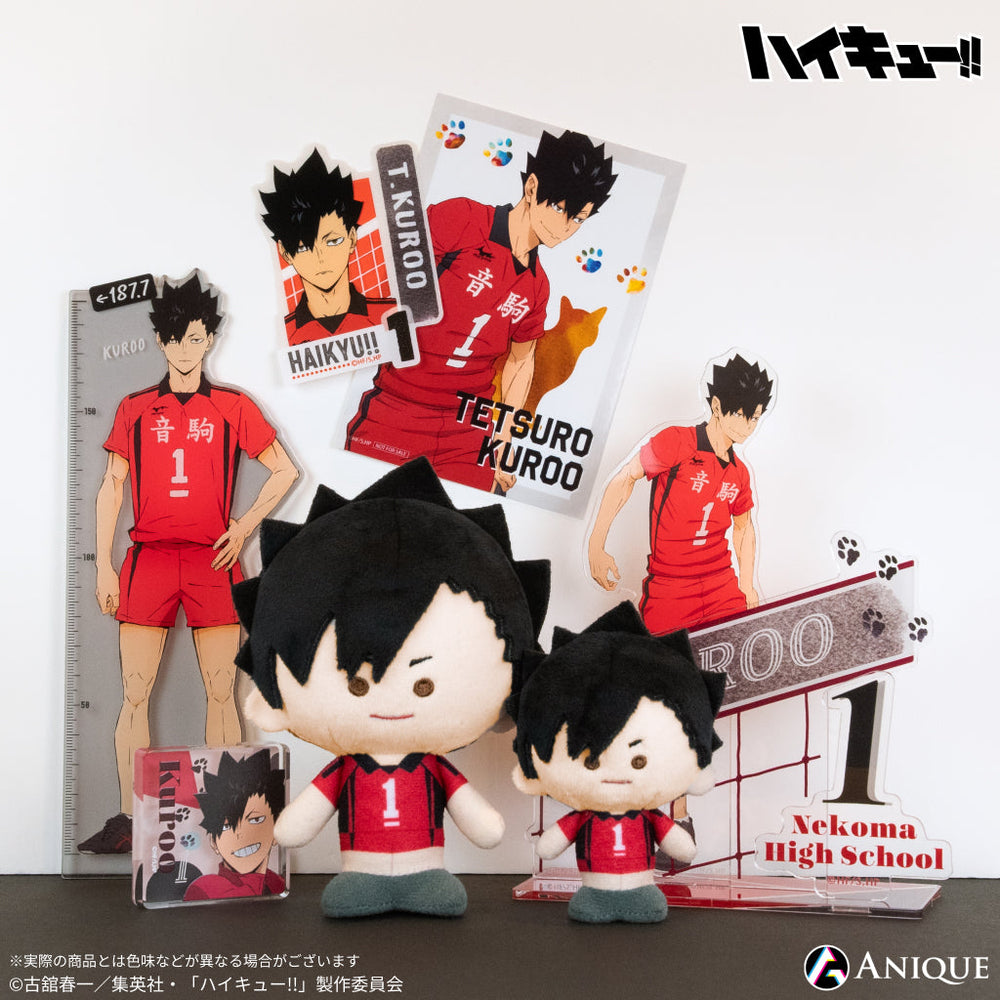 ハイキュー！！アクリルボード(非売品) ハイキュー！！アクリルボード