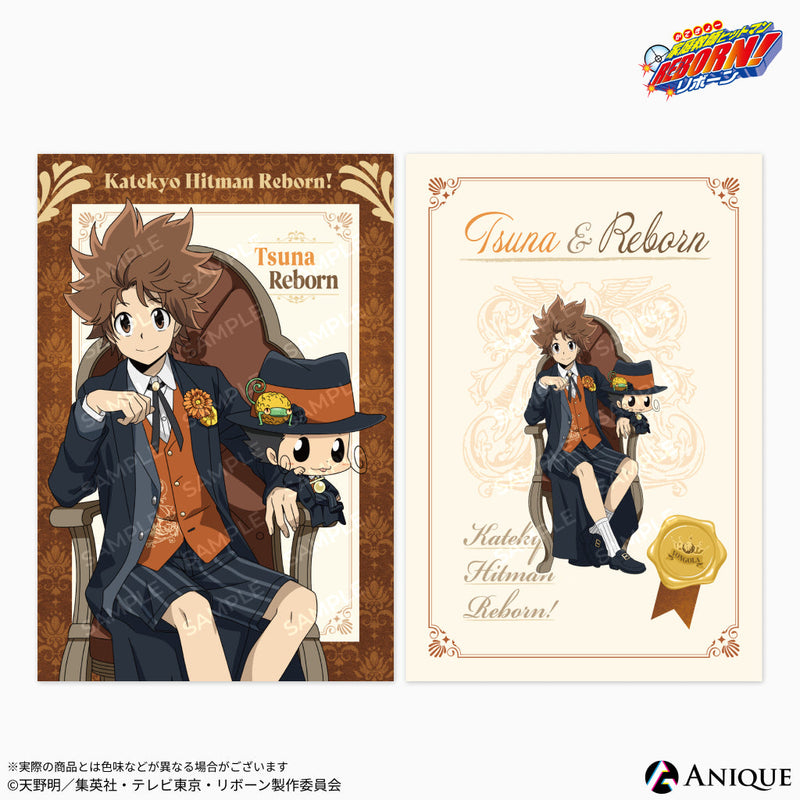 家庭教師ヒットマンREBORN! ポストカード 沢田綱吉 獄寺隼人 リボアニ