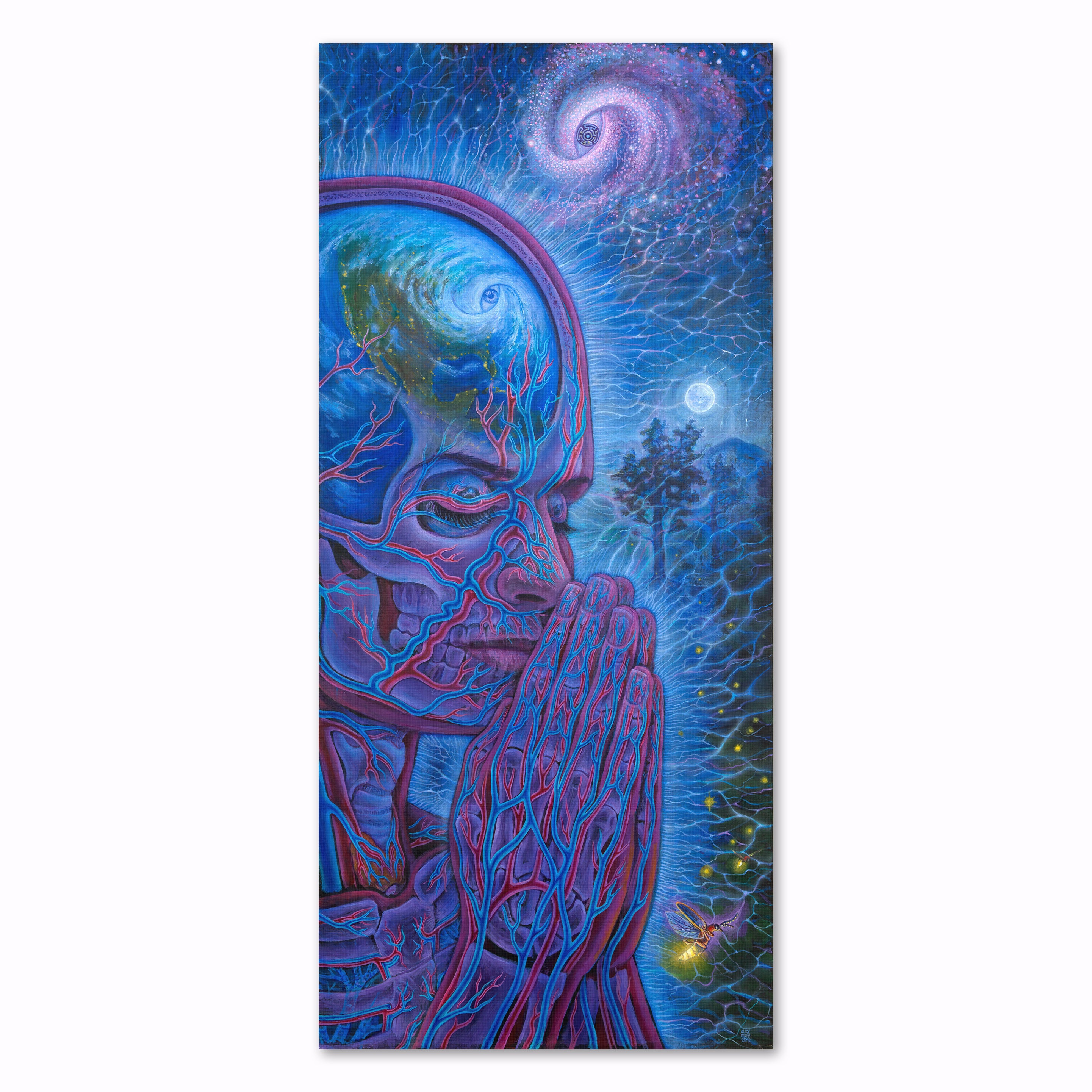 Planetary Prayers - Canvas Print – CoSM Shop