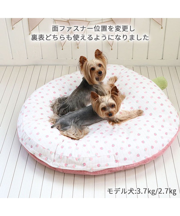 ペットパラダイス いちごクッション 赤 新品未使用未開封 PET PARADISE