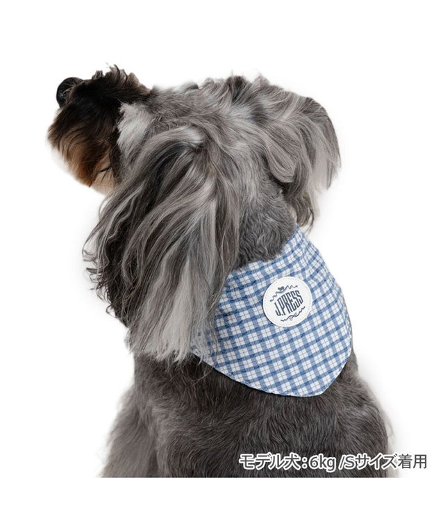J.PRESS クールバンダナ 小型犬 / PET PARADISE | 【通販】雑貨と