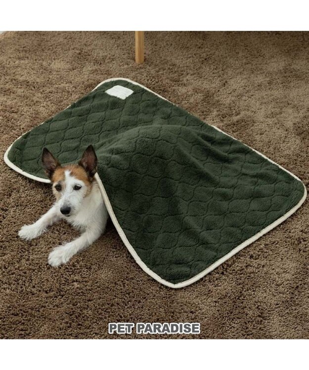ペットパラダイス ブランケット 《オニオン柄》 / PET PARADISE