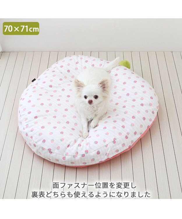 ネット店限定 ペットパラダイス 春いちご クッション M / PET PARADISE