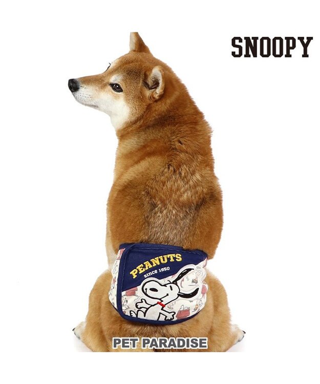 ペット✩犬✩マナーベルトオーダー用 サンプル(確認用)パピヨン犬