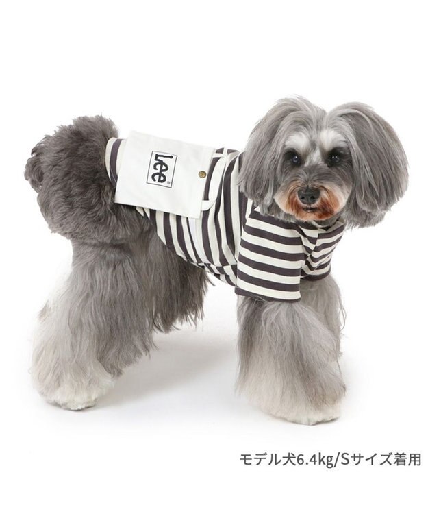 ペットパラダイス] 犬 服 秋 冬 Lee パーカー 3S 犬の服 犬 服