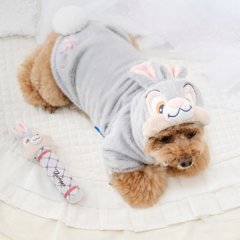 ミスバニー＆とんすけ 新登場 | 【通販】雑貨とペット用品の通販サイト