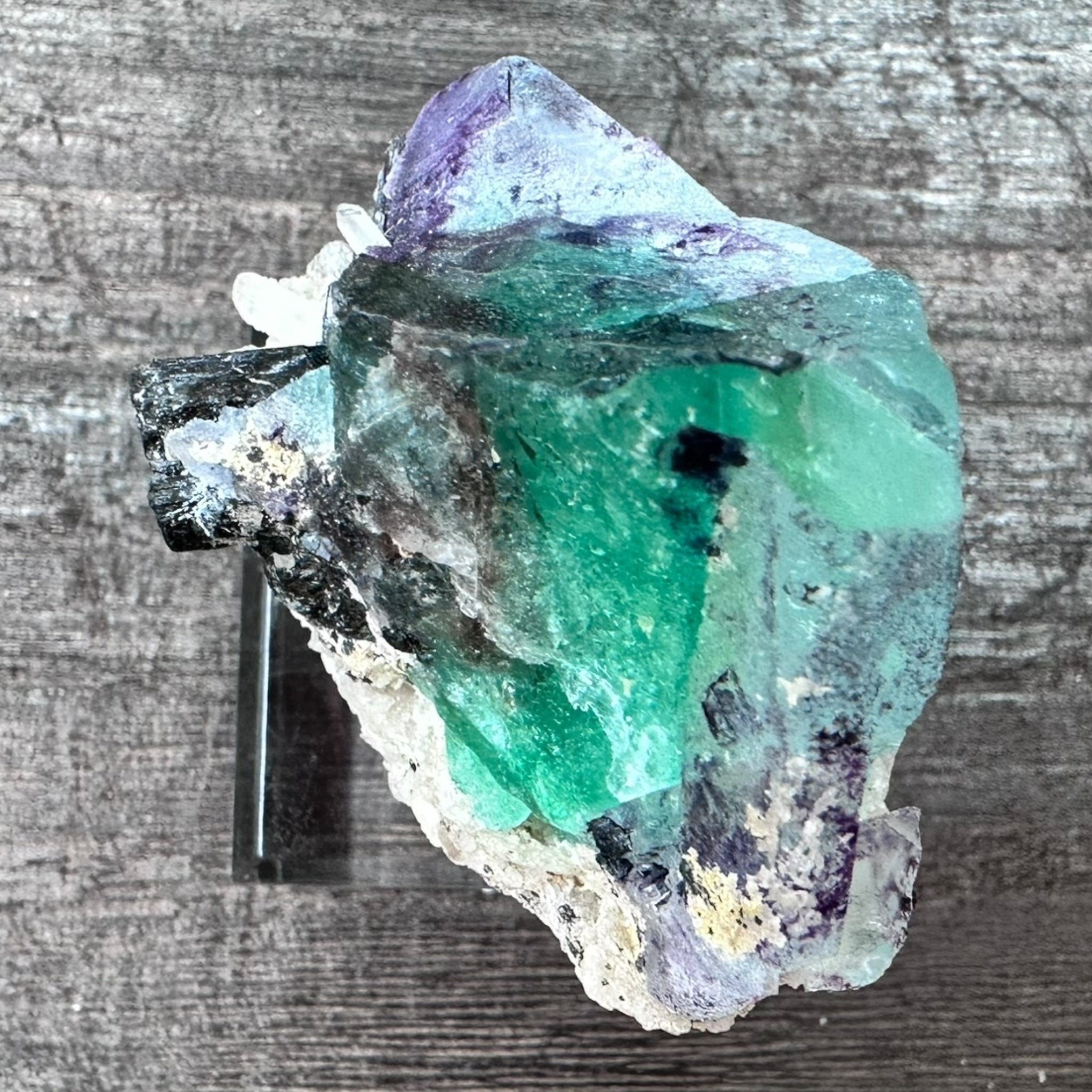 アクリル台座付き標本】フローライト ブラックトルマリン共生