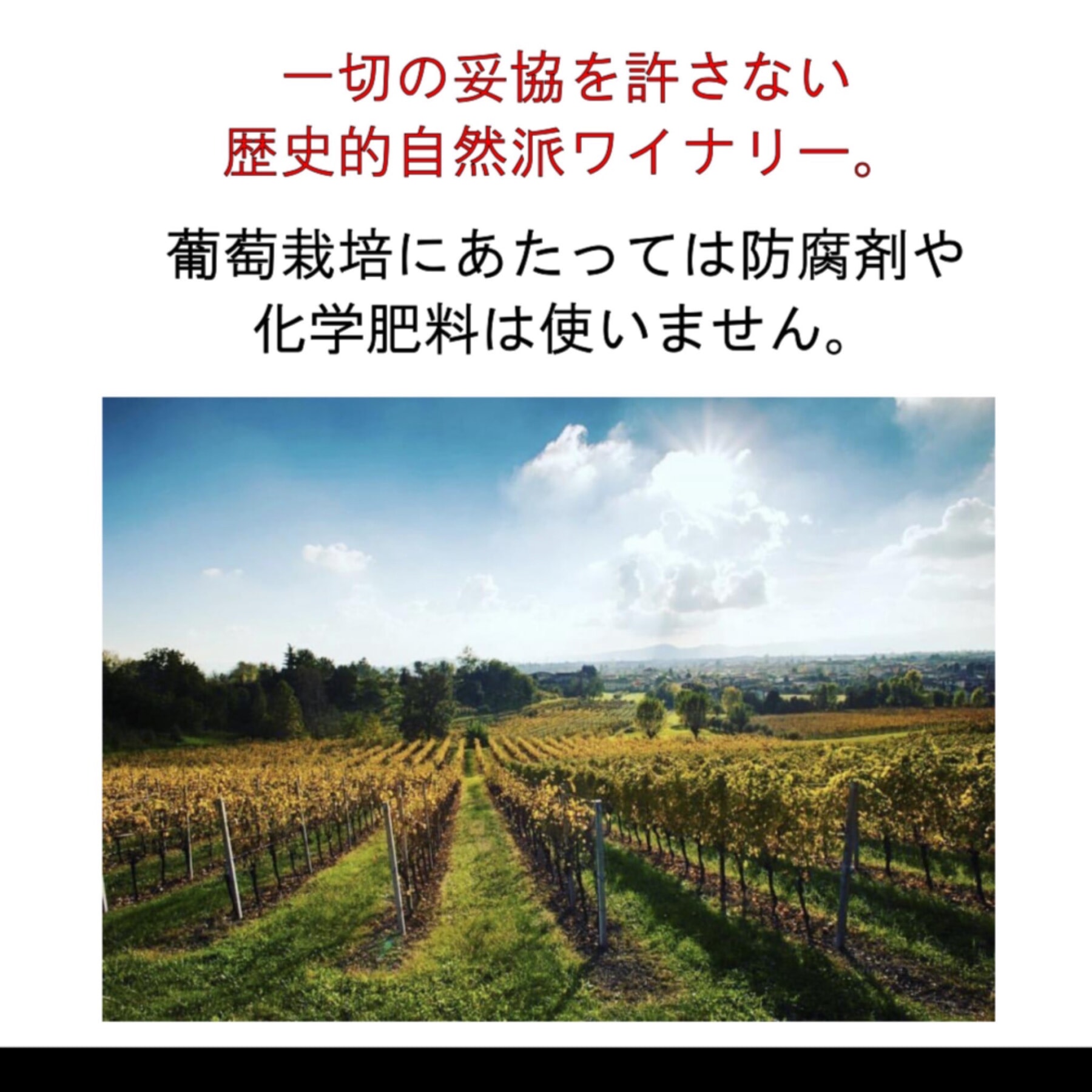 DE STEFANI＞Prosecco 0.15 Millesimato D.O.C. | ディヴィーノ 株式