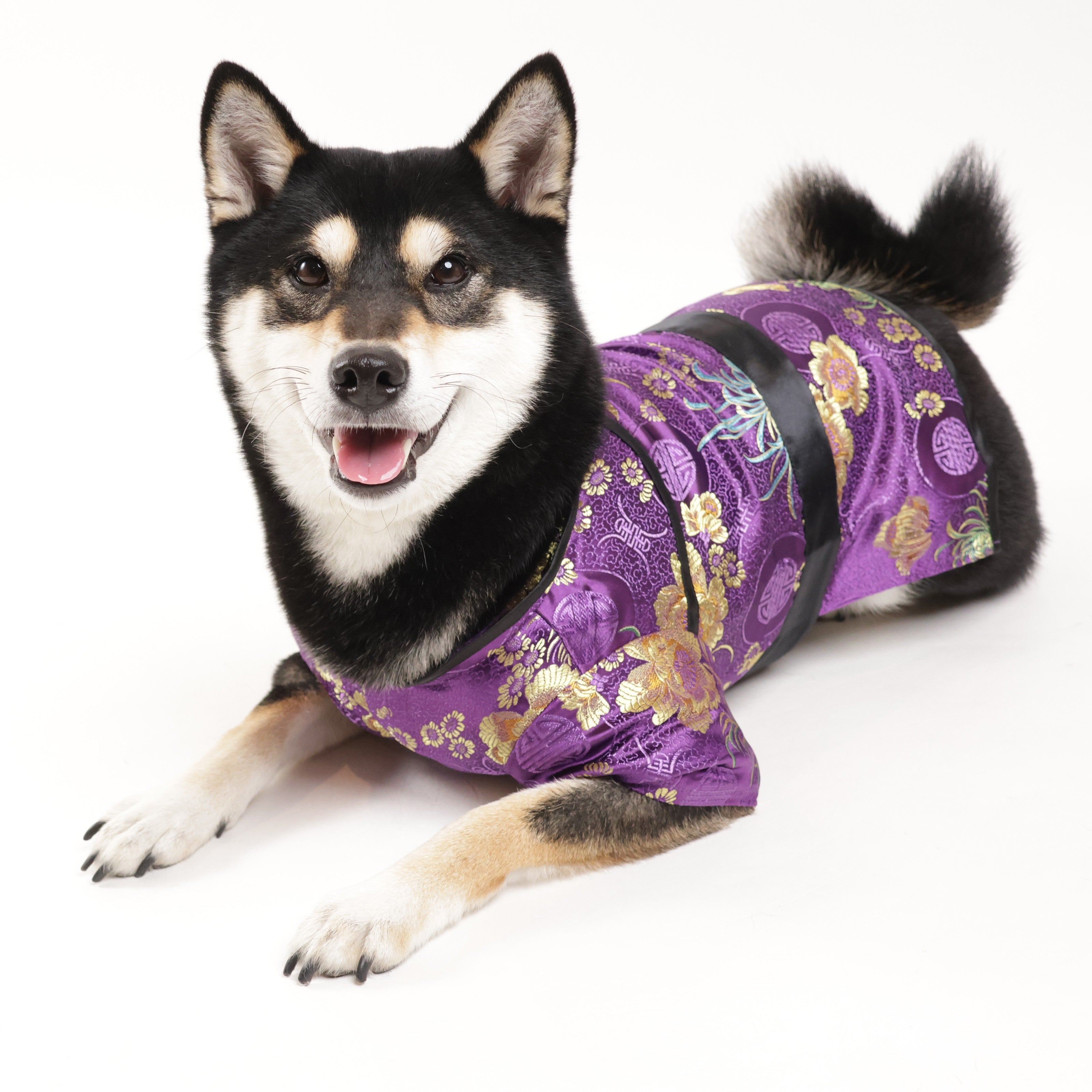 たかこ様☆犬服☆ハンドメイドオーダー☆2着✩.*˚