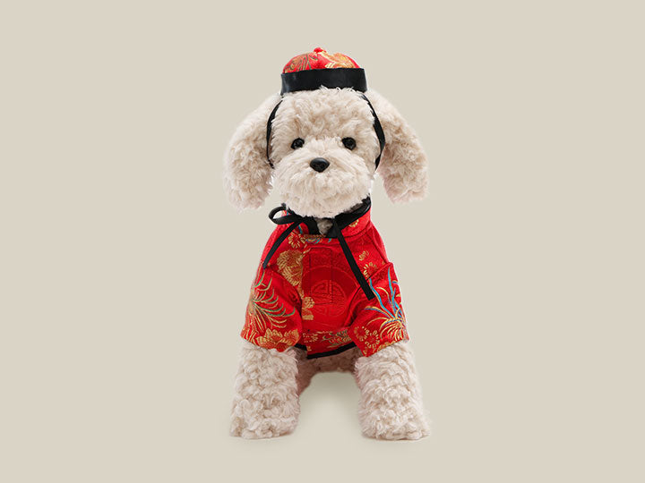 セミオーダーメイド | 犬の洋服・オーダーメイド衣装通販 | DOGBASE