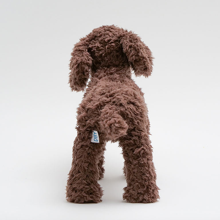 テディプードル ブラウン | DOGBASE YOKOHAMA