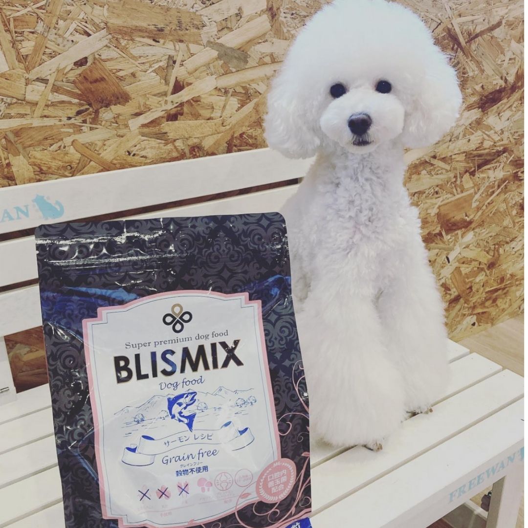 pink2 ブリスミックス グレインフリー 穀物不使用サーモンレシピ6kg