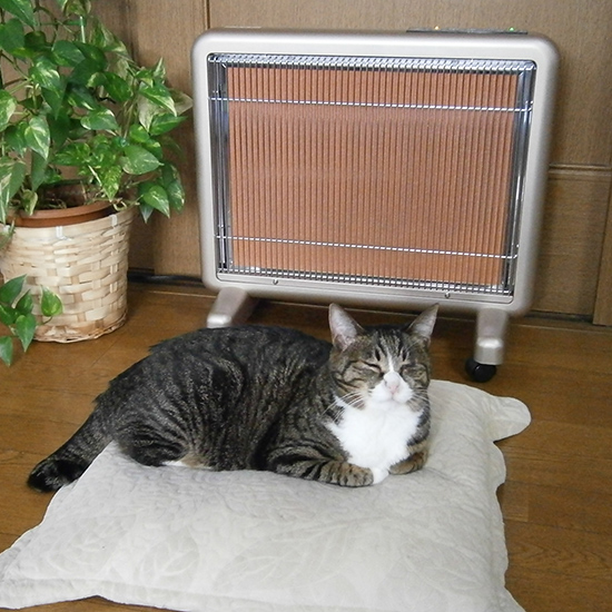 遠赤外線パネルヒーター サンルーム