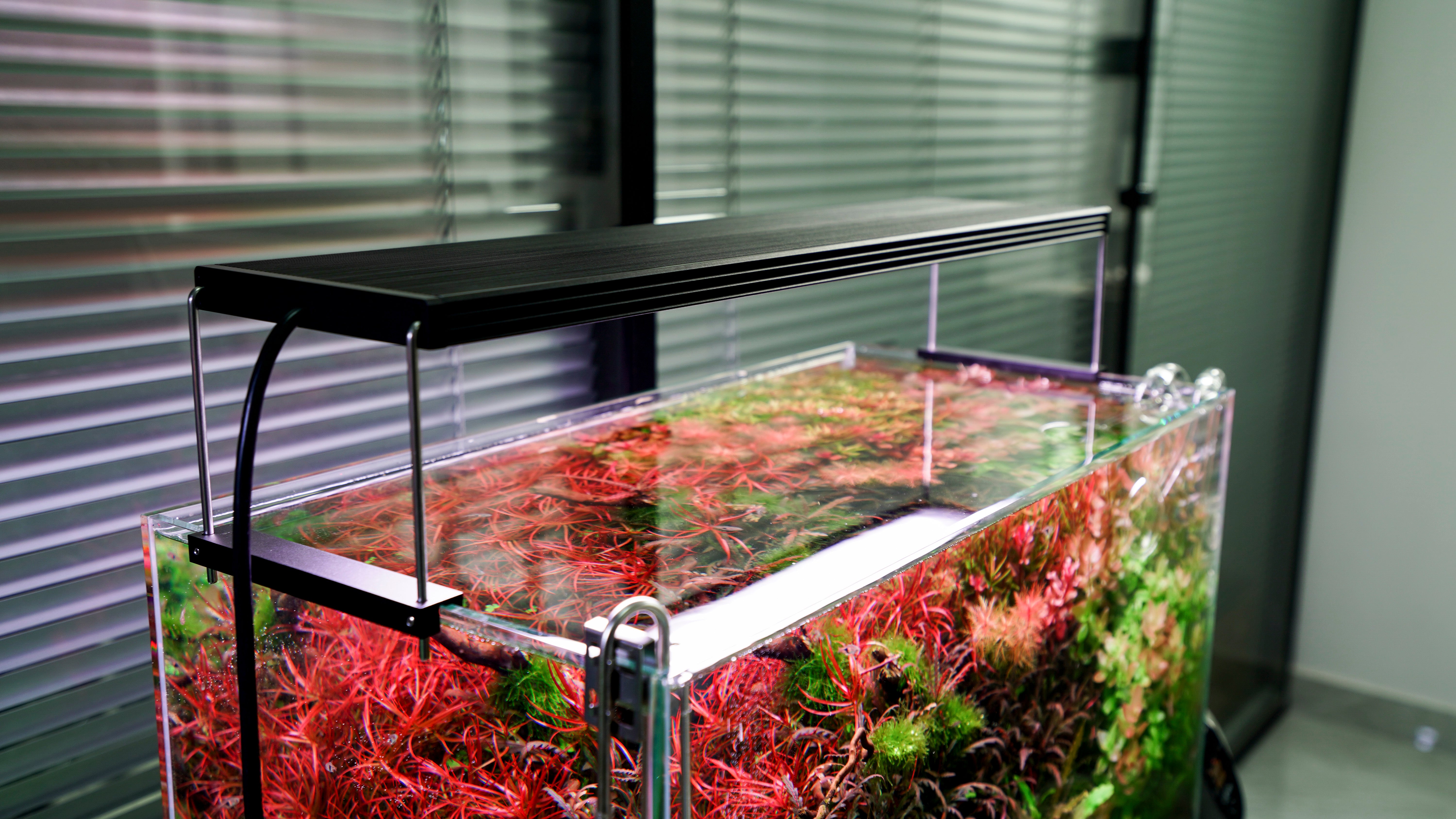 Chihiros WRGB II Pro - Aquarium Light | Glass Aqua