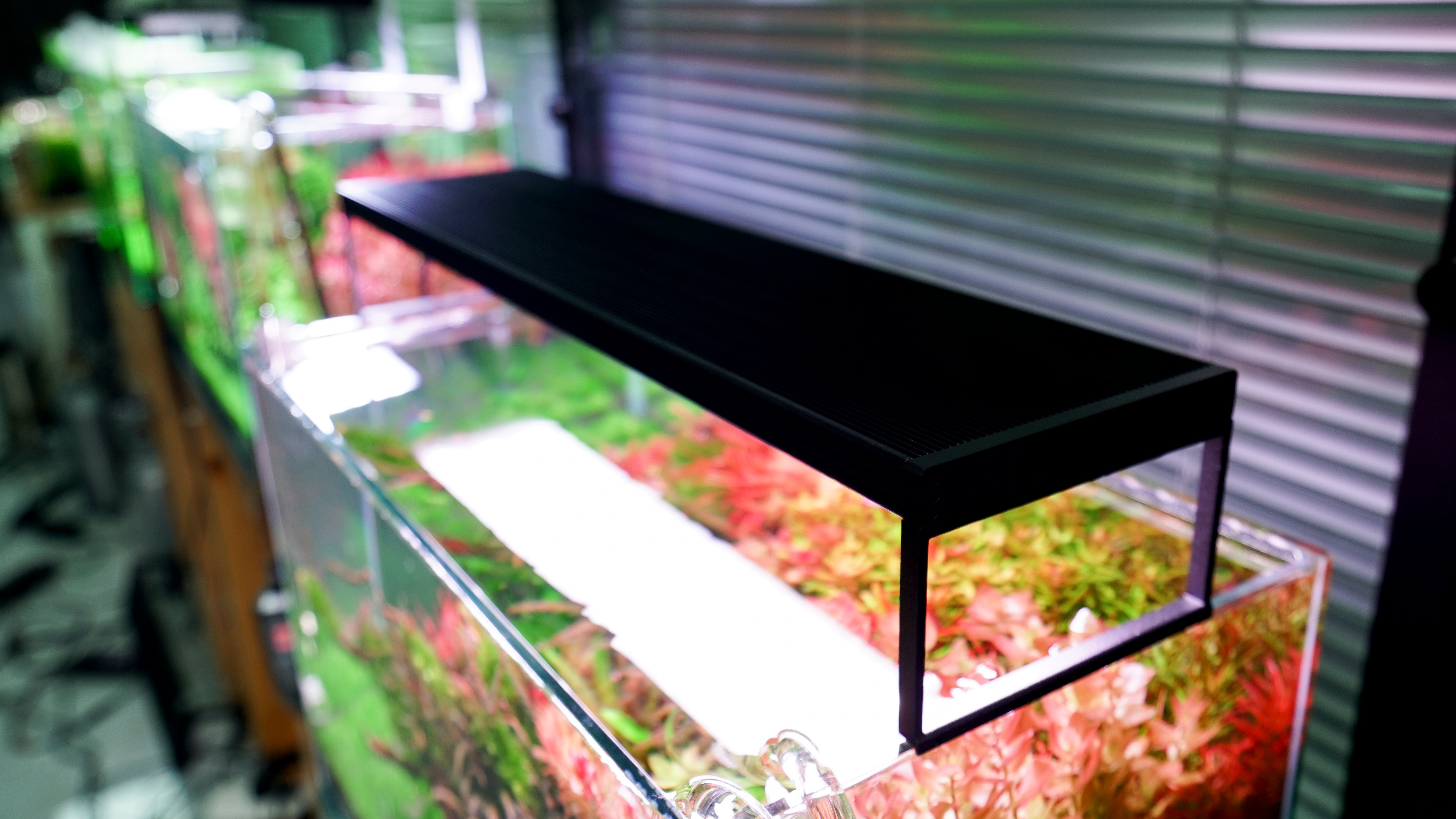 Chihiros WRGB II Slim - Aquarium Light | Glass Aqua