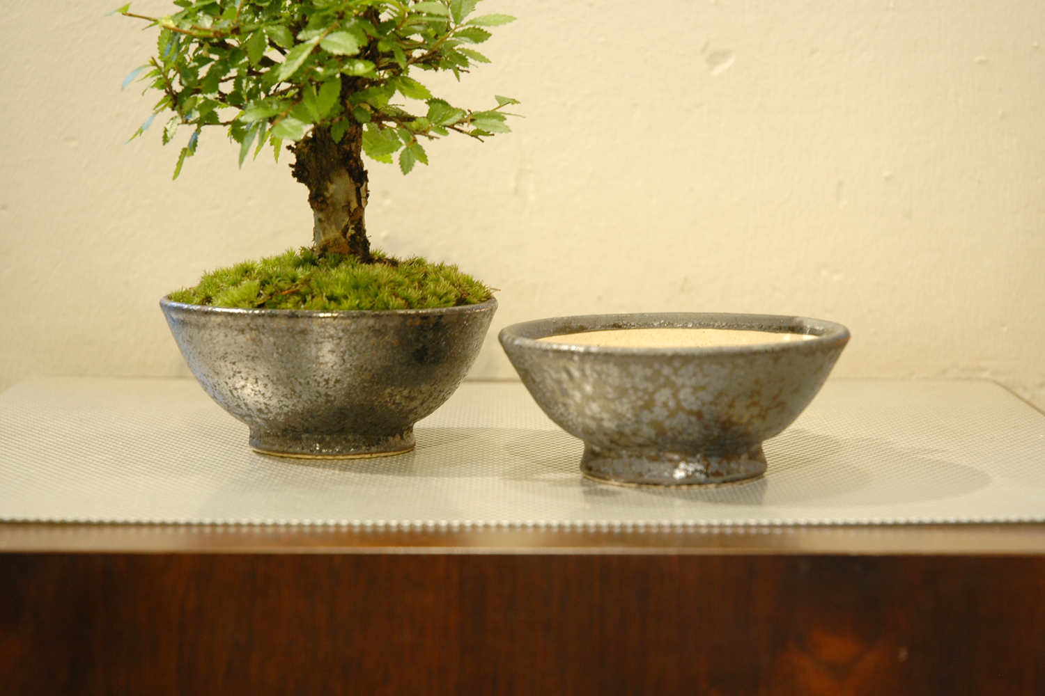 009.【陶翠】春秋/長方樹盆/盆栽鉢/木箱付き 009.【陶翠】