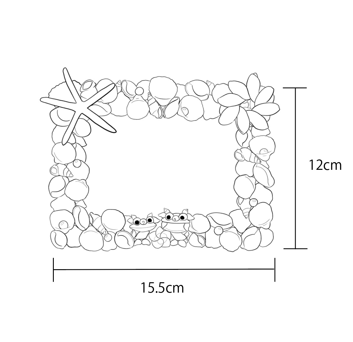 Kanoa Okinawa[カノア沖縄]オンラインショップ / 【L判】シェル