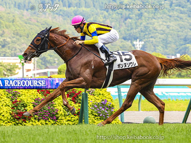 スペシャルウィーク 天皇賞春 競馬ブックパネル スペシャルウィーク