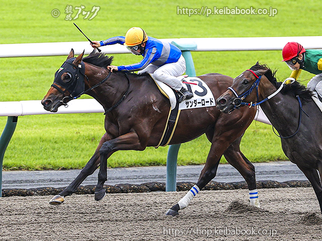 競馬ブックネットSHOP / カラーパネル