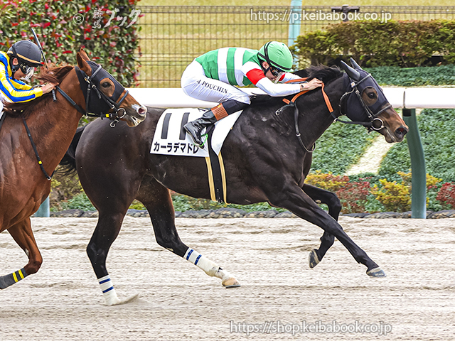 競馬ブックネットSHOP / カラーパネル