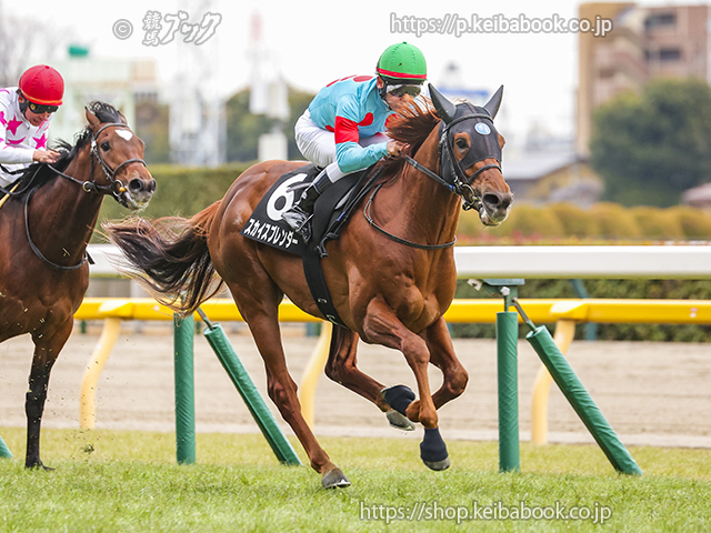 競馬ブックネットSHOP / カラーパネル