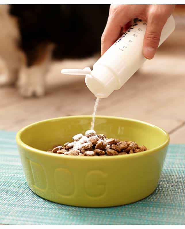 ニッピ あしたも走ろっ。お試しセット 40g（4571109956032）｜犬フード