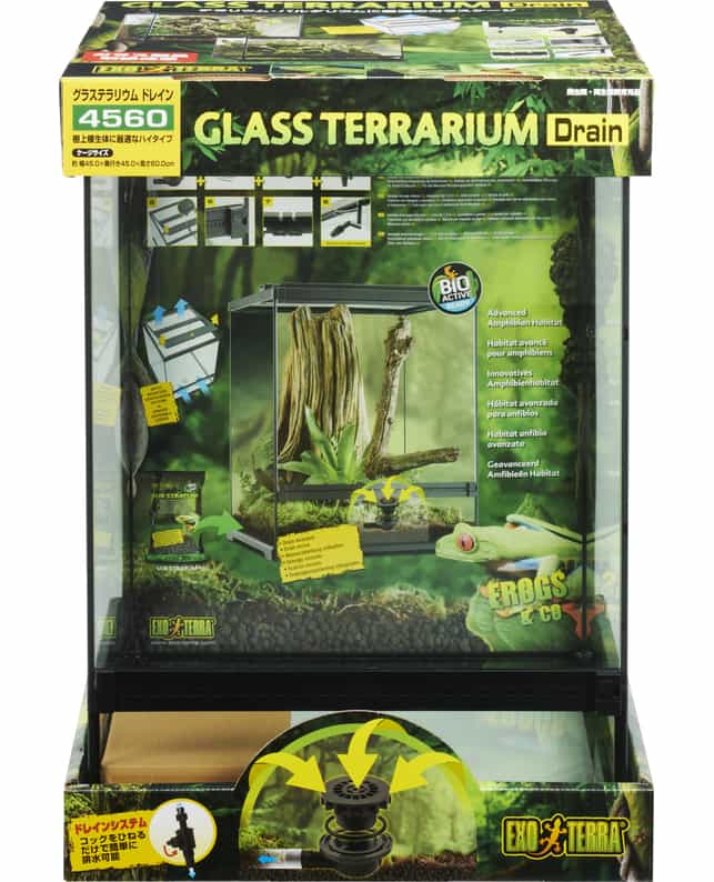 桃愛GEX グラステラリウム 6045 桃愛GEX グラステラリウム 6045 グラス