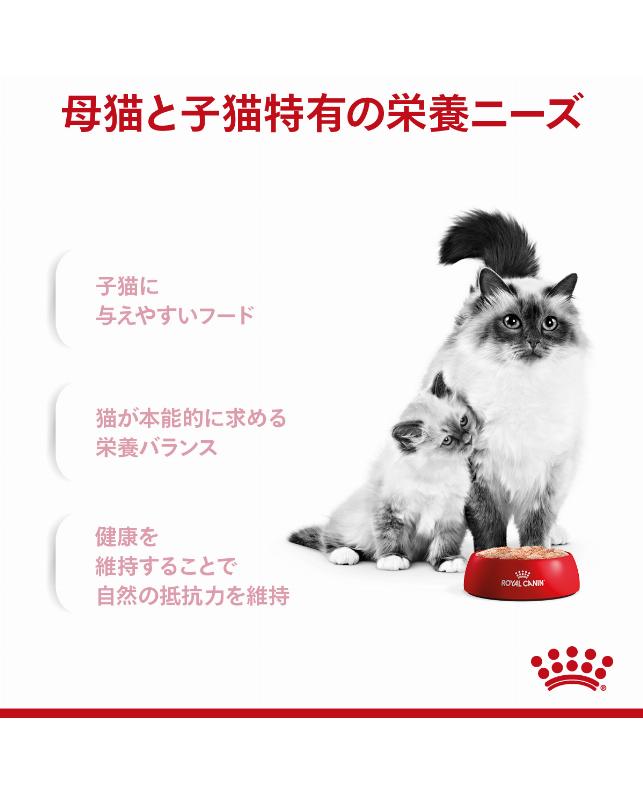 ロイヤルカナン FHN-WET マザー＆ベビーキャット 100g（9334214029986