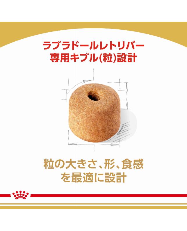 取り寄せ品】ロイヤルカナン ラブラドールレトリバー 成犬～高齢犬用