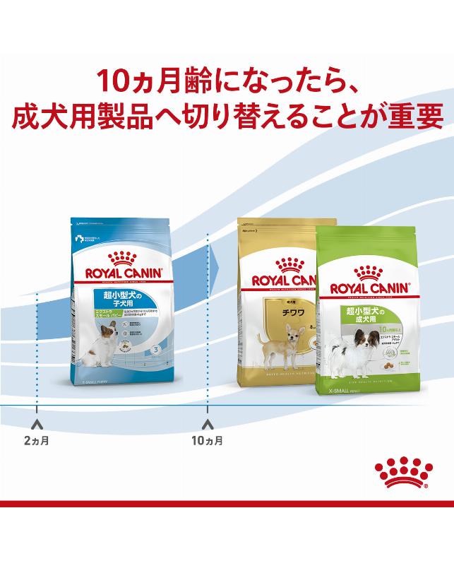 ロイヤルカナン エクストラ スモールパピー 3kg（3182550793636）｜犬