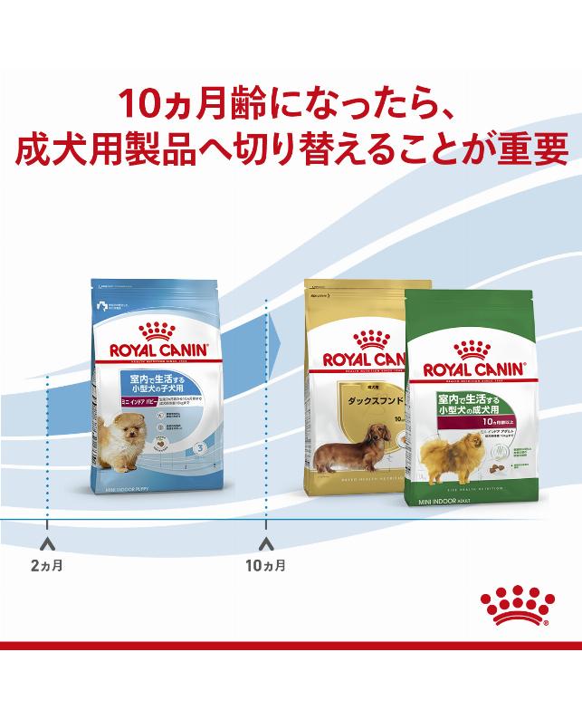 ロイヤルカナン ミニインドアパピー 2kg（3182550849609）｜犬フード