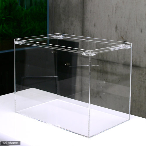 楽天市場】水槽 アクリル水槽 ラクシス No．12 （300×250