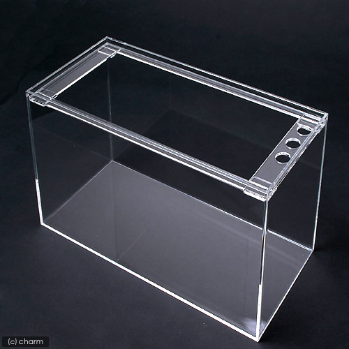 楽天市場】水槽 アクリル水槽 ラクシス No．25 （400×200