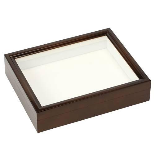 中型標本箱 3箱 ペフ板 1枚 楽天市場】バードウィング製 ドイツ型標本