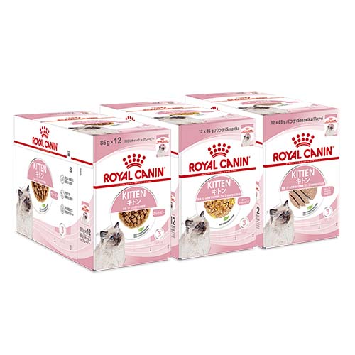 楽天市場】【送料無料】ロイヤルカナン 子猫 成長後期の子猫用ドライ