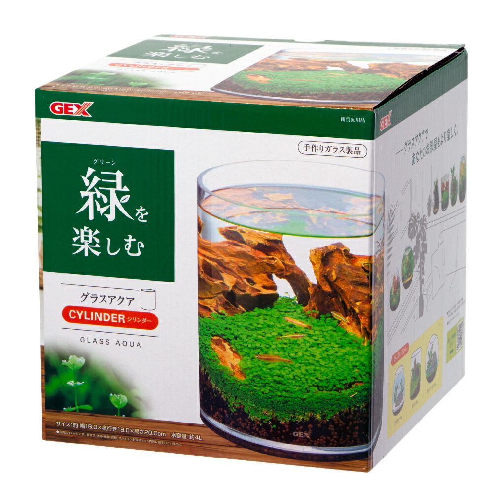 楽天市場】GEX グラスアクア スフィア N 22cm テラリウム 小型