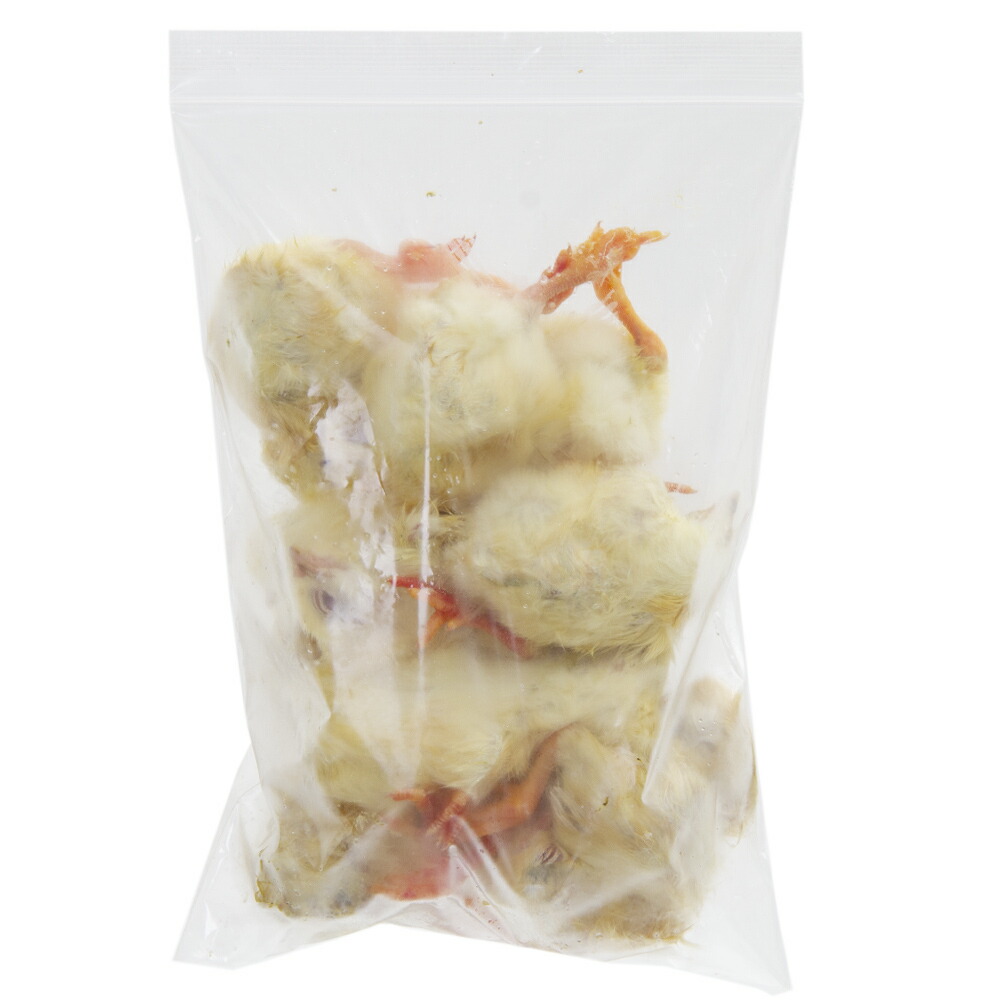 楽天市場】冷凍☆冷凍ヒヨコ 10羽パック 別途クール手数料 常温商品