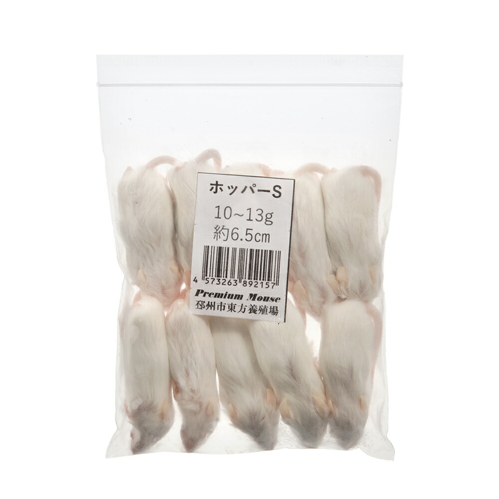 楽天市場】冷凍☆SPFマウス ホッパーLマウス（10匹） （約7