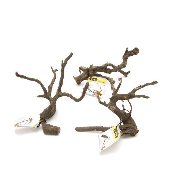 楽天市場】GEX 天然流木 SSサイズ（約15〜20cm） 1本 形状