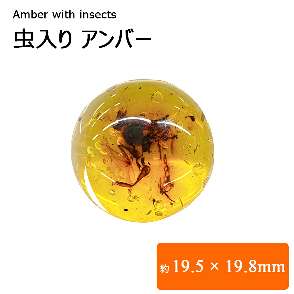化石】虫(蜂)入り琥珀 （台座付き） 化石】虫(蜂)入り琥珀 （台座付き