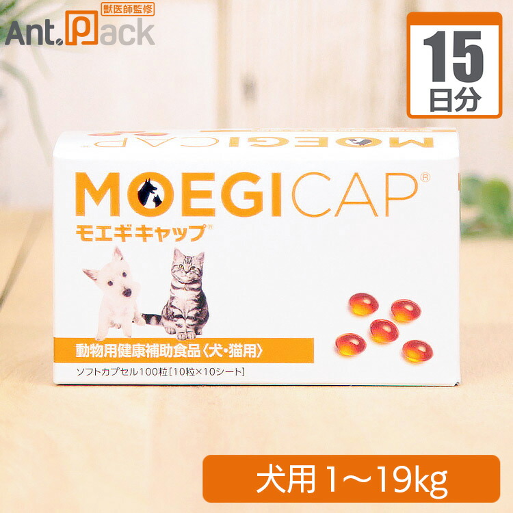 楽天市場】共立製薬 モエギキャップ 猫用 1日1粒15日分 : ペット用