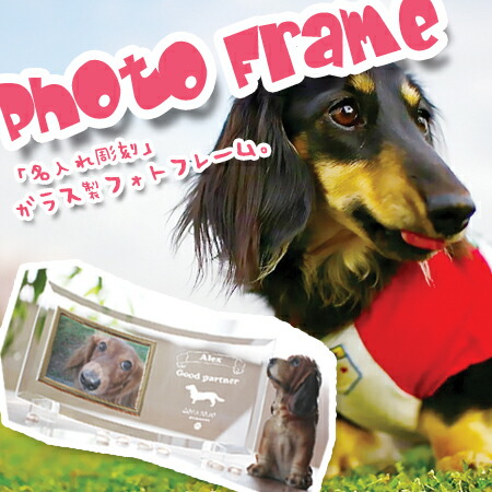 楽天市場】犬の十戒 プレート 愛犬の名前 入り 写真入り【犬の表札