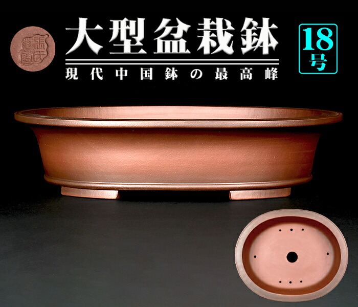 482 盆栽 盆栽鉢 植木鉢 中国鉢 中国 植木鉢」の人気商品一覧 | 安い