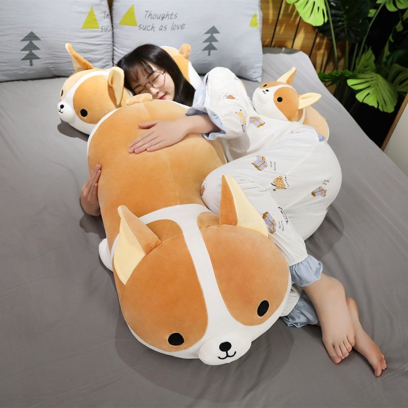 楽天市場】ぬいぐるみ 犬 いぬ コーギー犬 大きいサイズ かわいい