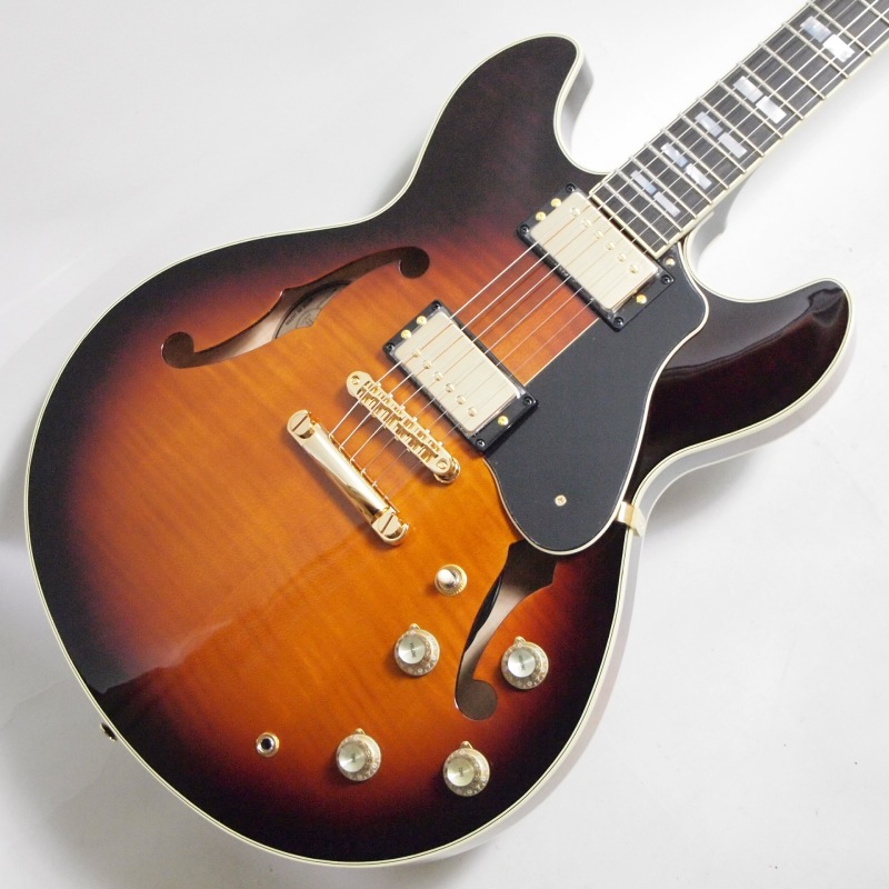 Landscape セミアコースティックギター LANDSCAPE ランドスケープ セミ