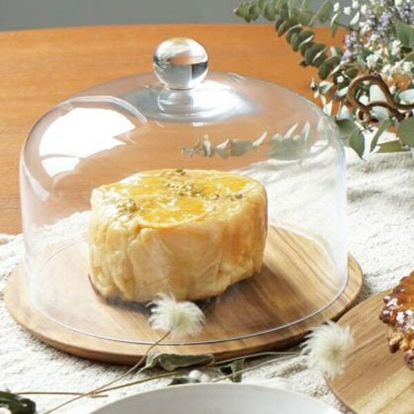 楽天市場】【特典付き】 ガラスドーム ディスプレイドーム ガラス