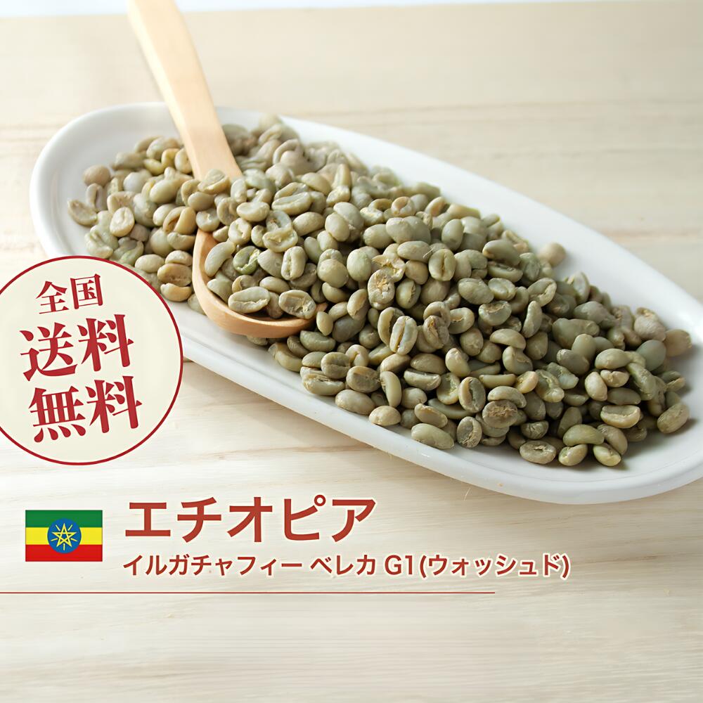 楽天市場】DRIP TRIP コーヒー生豆 1kg エチオピア モカ