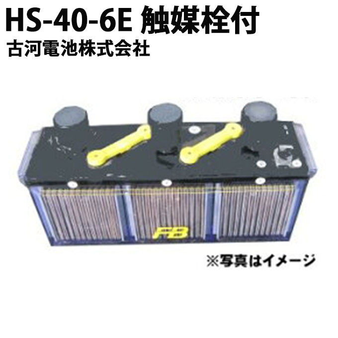 楽天市場】受注生産品 媒栓付 据置鉛蓄電池HS形 6V 100Ah HS-100-6E