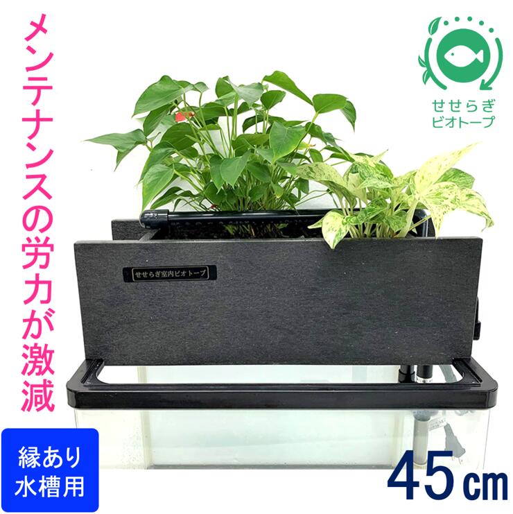 楽天市場】【ふるさと納税】せせらぎビオトープ 20cm型基本セット